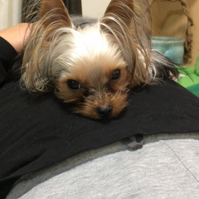 トトロ…⁉︎☆の画像