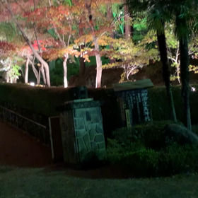 紅葉狩りの画像