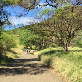 動画で。の画像