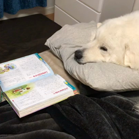 ジョンに読み聞かせの画像