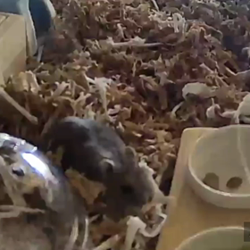 びっくり仰天の画像