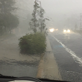 突然だよいつもねの画像