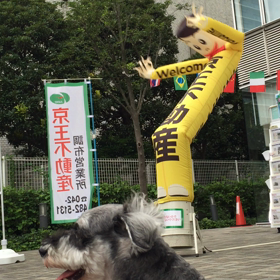 なんでも社会化の画像