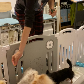 ちゅるびーの画像
