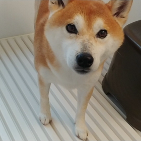 勘助ですの画像