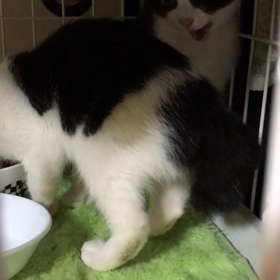 新入りちゃんも❤️の画像