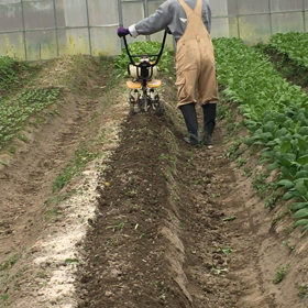 猪名川農業女子PJの画像