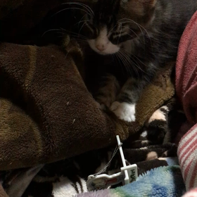 ぐるぐるふみふみ♡の画像