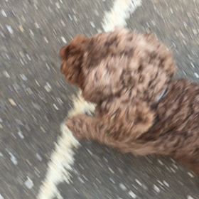 アイコンタクトの画像