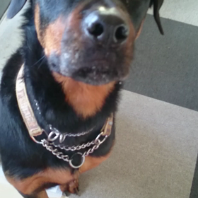 健おじさんの動画(^^ゞの画像