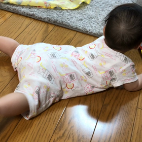 最近の芸の画像