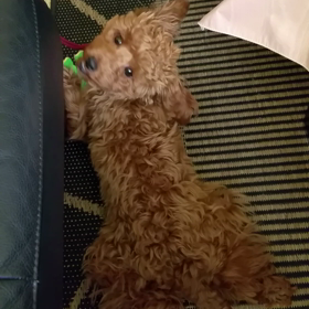 命名ギガちゃん(笑)の画像