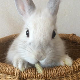 今日で生後三ヶ月✨✨の画像