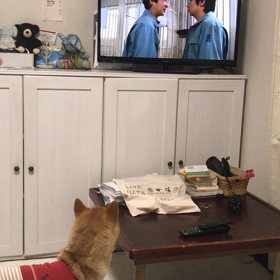テレビを見るの画像