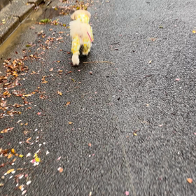 おはようございますの画像