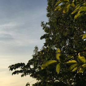 眠れないなら起きてまえ☆朝の風景、撮って出し。の画像