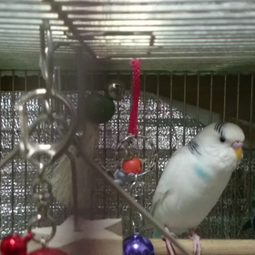 ケナゲな大ちゃん(*ノ▽ノ)の画像