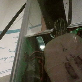 モニタリングジロタンの画像