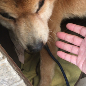 憲俊です。〜ましゃむね動画まだまだあるよ〜の画像