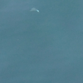 0503ベイト入ってるの画像