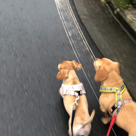 なんとかの画像