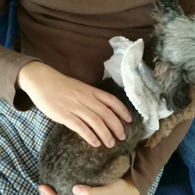 腎臓に効くマッサージの画像