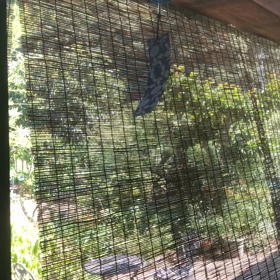 暑い午後にチリンの画像