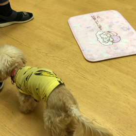 ミルキー編。の画像