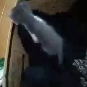 ルンルン♪の画像