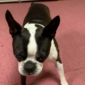 バートの誕生日の画像