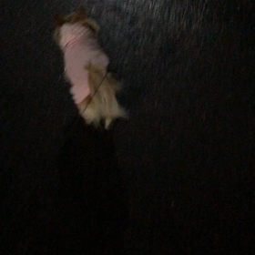 散歩の時間。の画像