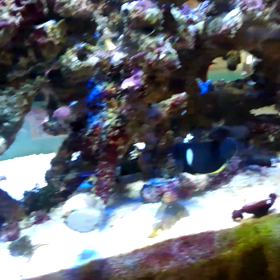 キーホールその後とさんり動画の画像