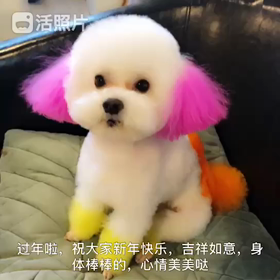 新年のご挨拶の画像