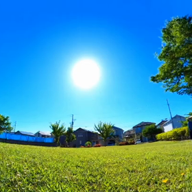 今日の朝散歩の画像