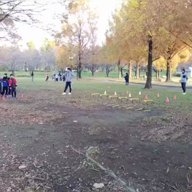 11/23 ダッシュの場①の画像