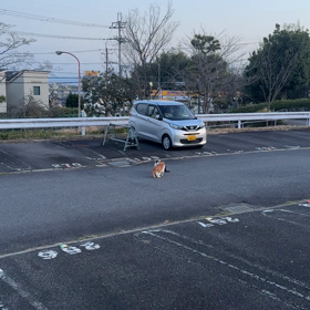 春だな〜の画像