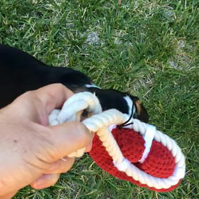 Kona:週末の遊びが激しいの画像