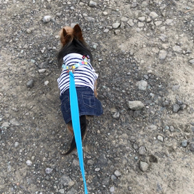 久々のお出かけなのに…の画像