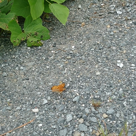 思いやり✨の画像