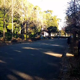 越谷春季記録会リレー選考会(男子)⑪の画像