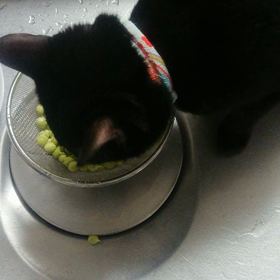 豆食ったその後のう◯この画像