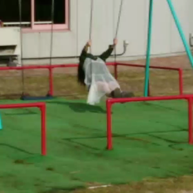 自分だけは味方での画像