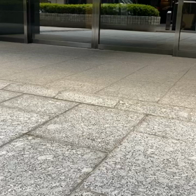 ポコさんの登園の画像