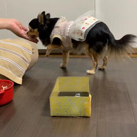 シェリ宿題練習の画像