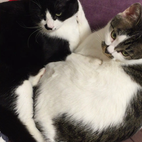 記憶に残る感触の画像