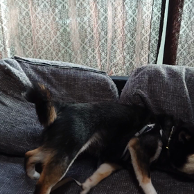 あんみつ到着＼(^^)／の画像