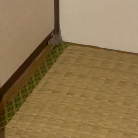 函館帰ろうの画像