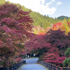 栃木県鹿沼市　大芦渓谷　古峯神社　古峯園の画像