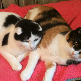 動画ぐるぐるの画像