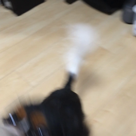 ■ごはんのとき■の画像